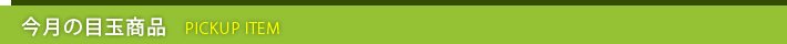今月の目玉商品